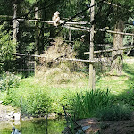 Photo n° 2 de l'avis de Charles.a fait le 11/07/2019 à 14:36 pour Zoo de Jurques à Dialan sur Chaîne