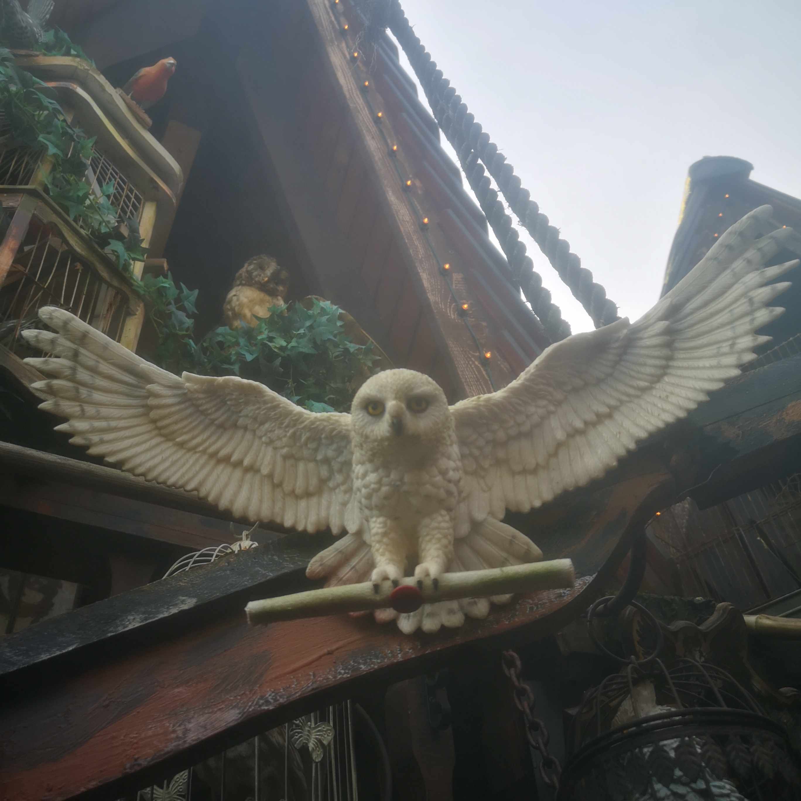 Photo n° 13 de l'avis de gwendoline.t fait le 02/05/2019 à 16:52