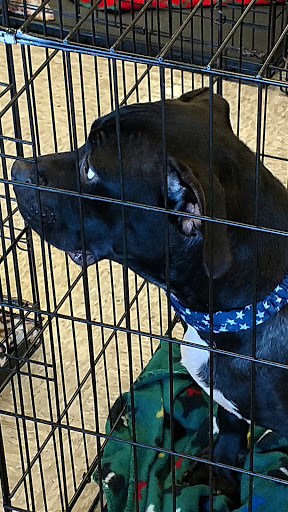 Pet Supply Store «PetSmart», reviews and photos, 5722 Fairmont Pkwy, Pasadena, TX 77505, USA