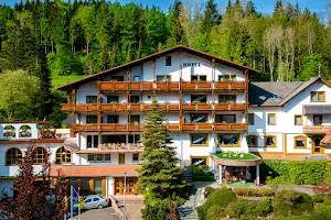 Holzschuhs Schwarzwaldhotel image