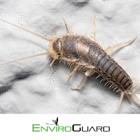 EnviroGuard Pest Control - Photo 3 - Car repair in North Fort Myers, FL, Cape Coral