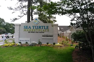 Sea Turtle Marketplace image