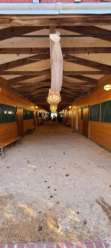 Event Venue «Thomas Farm Weddings and Events», reviews and photos, 519 Tranbarger Rd, Church Hill, TN 37642, USA