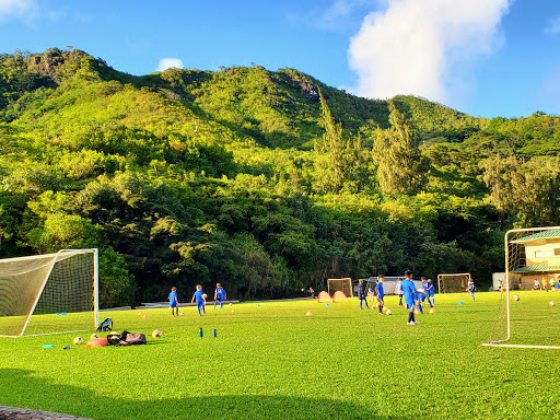 Private Soccer Sessions