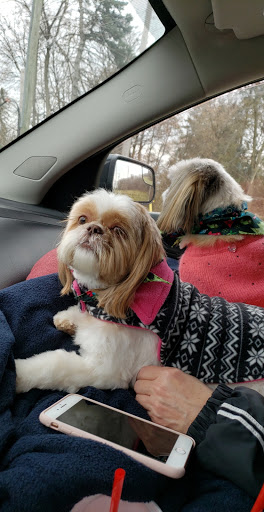 Pet Supply Store «Pet Supplies Plus», reviews and photos, 22381 Pontiac Trail, South Lyon, MI 48178, USA