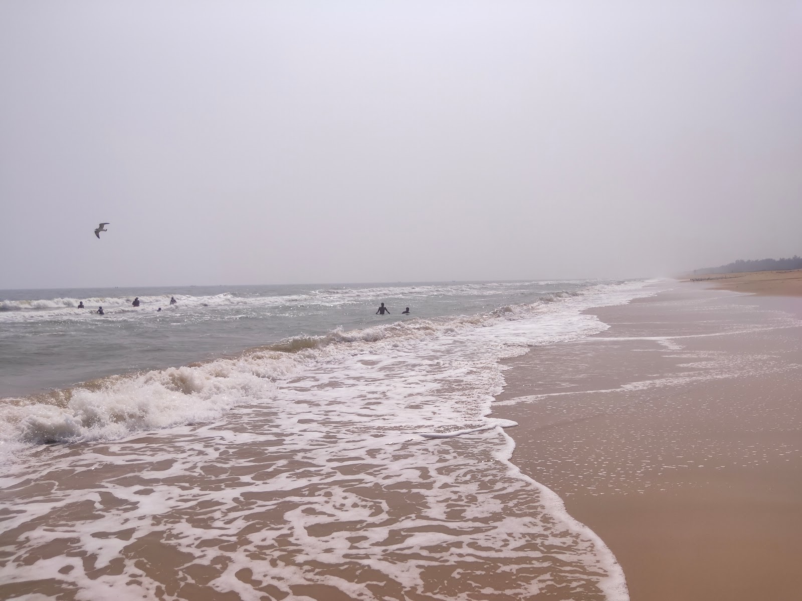 Φωτογραφία του Alagayapalem Beach με μακρά ευθεία ακτή