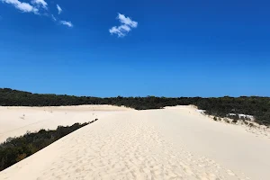 Moreton Island Desert image