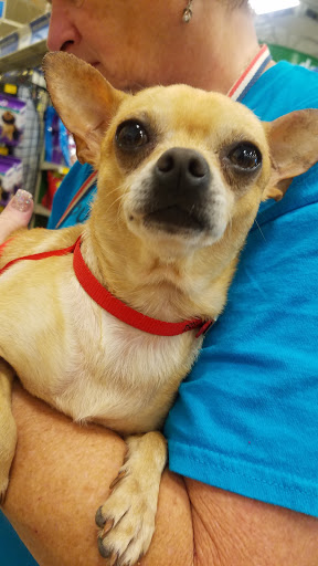 Pet Supply Store «PetSmart», reviews and photos, 1921 Gulf Fwy S, Dickinson, TX 77539, USA