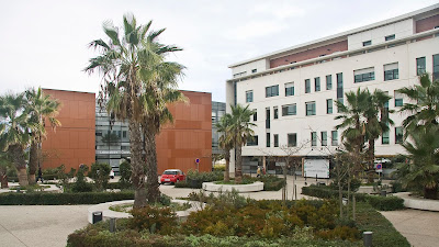 Dr Daniele Montiel Sabatier à Montpellier