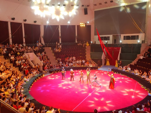 Trường Xiếc Việt Nam (Circus Arts School)