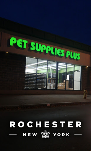 Pet Supply Store «Pet Supplies Plus», reviews and photos, 531 Monroe Ave, Rochester, NY 14607, USA