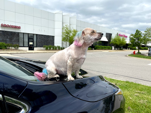 Pet Supply Store «PetSmart», reviews and photos, 140 Barrington Rd, Schaumburg, IL 60194, USA