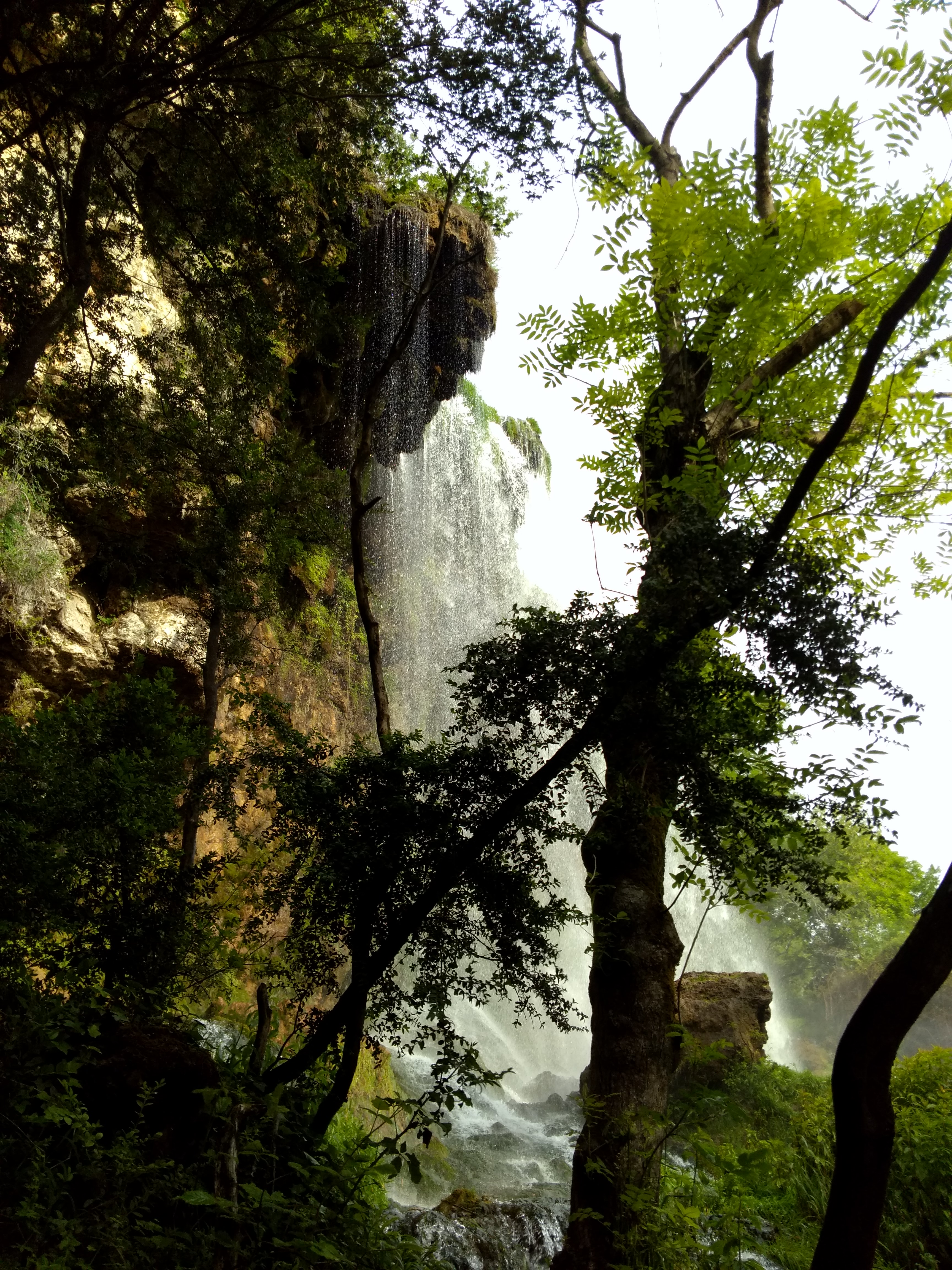 Photo n° 5 de l'avis de Thierry.v fait le 27/06/2018 à 10:34