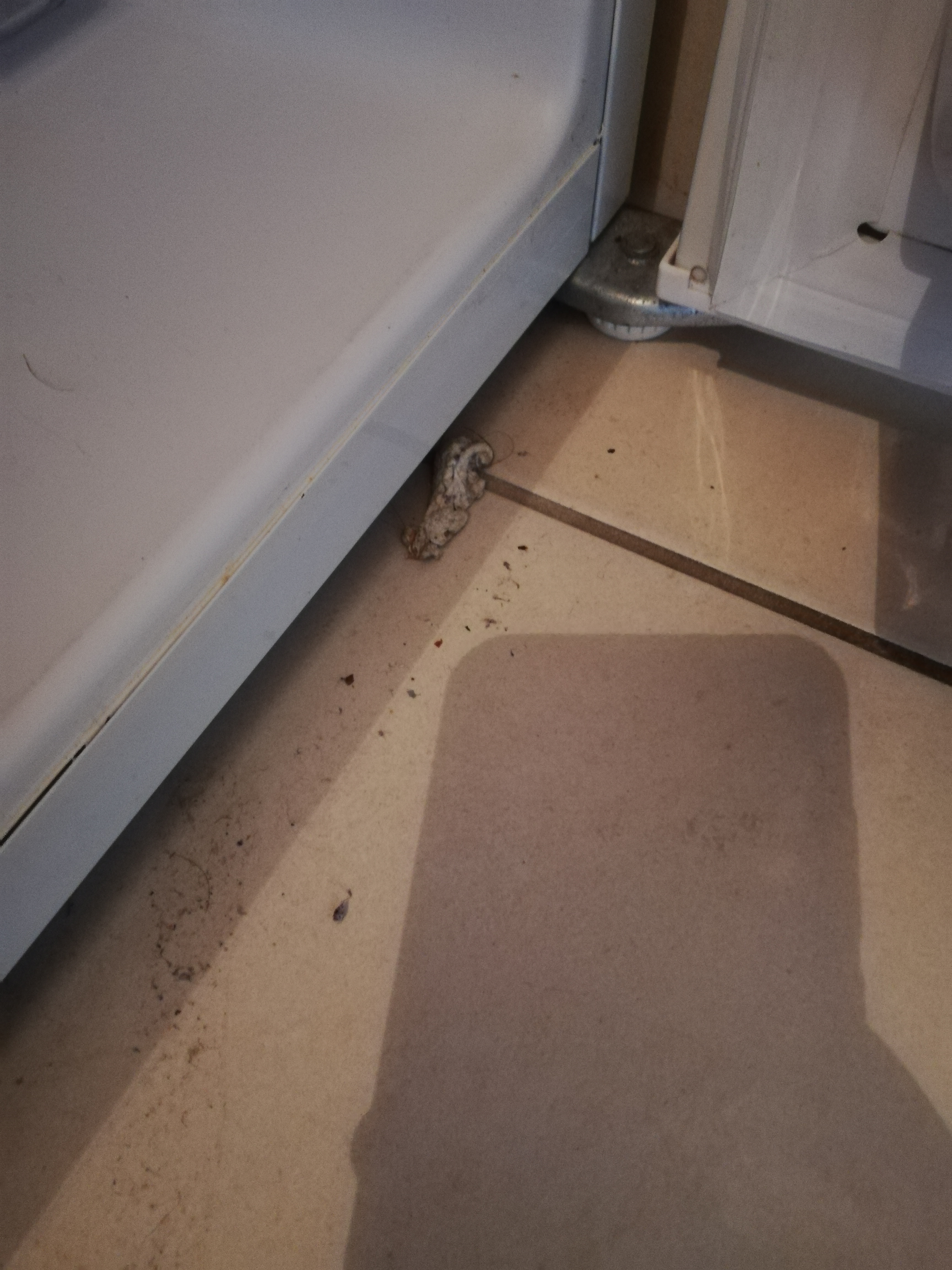Photo n° 5 de l'avis de Thé.e fait le 19/04/2019 à 13:28