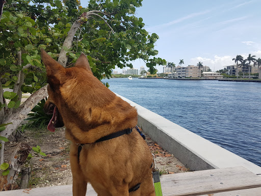 State Park «Hugh Taylor Birch State Park», reviews and photos, 3109 E Sunrise Blvd, Fort Lauderdale, FL 33304, USA