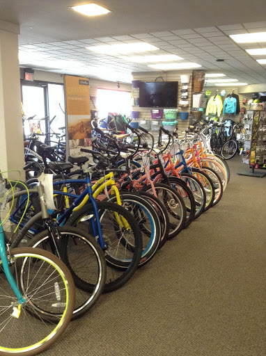 Bicycle Store «D&D Bicycles - Berkley», reviews and photos, 4141 Twelve Mile Rd, Berkley, MI 48072, USA