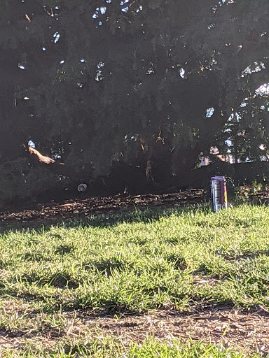 Park «Carl Schurz Park», reviews and photos, East 86th Street & East End Ave, New York, NY 10028, USA