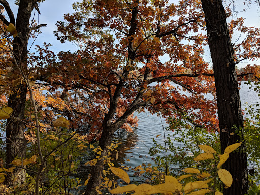 Golf Course «Island Lake Golf and Training Center», reviews and photos, 1000 Red Fox Rd, Shoreview, MN 55126, USA