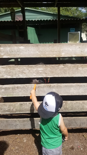 Animal Rescue Service «Nanny’s Educational Zoo And Rescue», reviews and photos, 1139 Livingston Rd, Lutz, FL 33559, USA