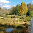 Sayen House and Gardens