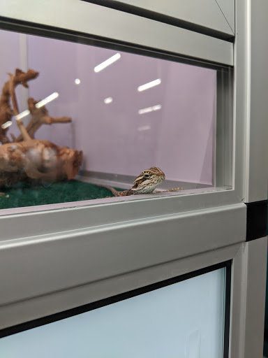 Pet Supply Store «Pet Supermarket», reviews and photos, 11160 Panama City Beach Pkwy #402, Panama City Beach, FL 32407, USA