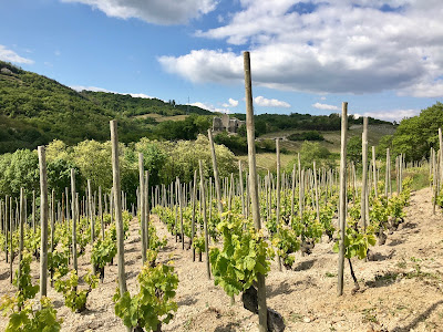 Domaine Belle à Larnage