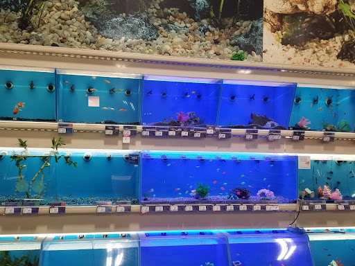 Pet Supply Store «PetSmart», reviews and photos, 79375 CA-111, La Quinta, CA 92253, USA