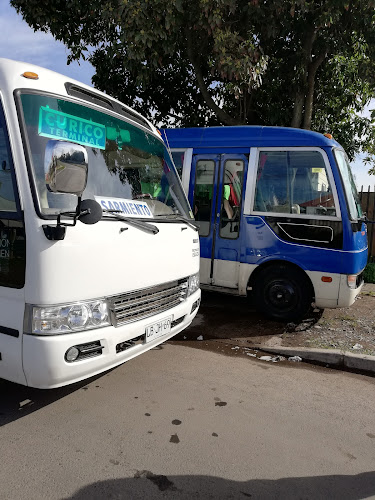 Buses Urbina - transportes - Curicó