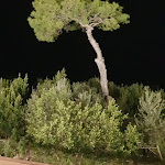 Photo n°1 de l'avis de Carmen.n fait le 19/12/2018 à 12:04 sur le  Giorgio al Cucciolo à Anacapri