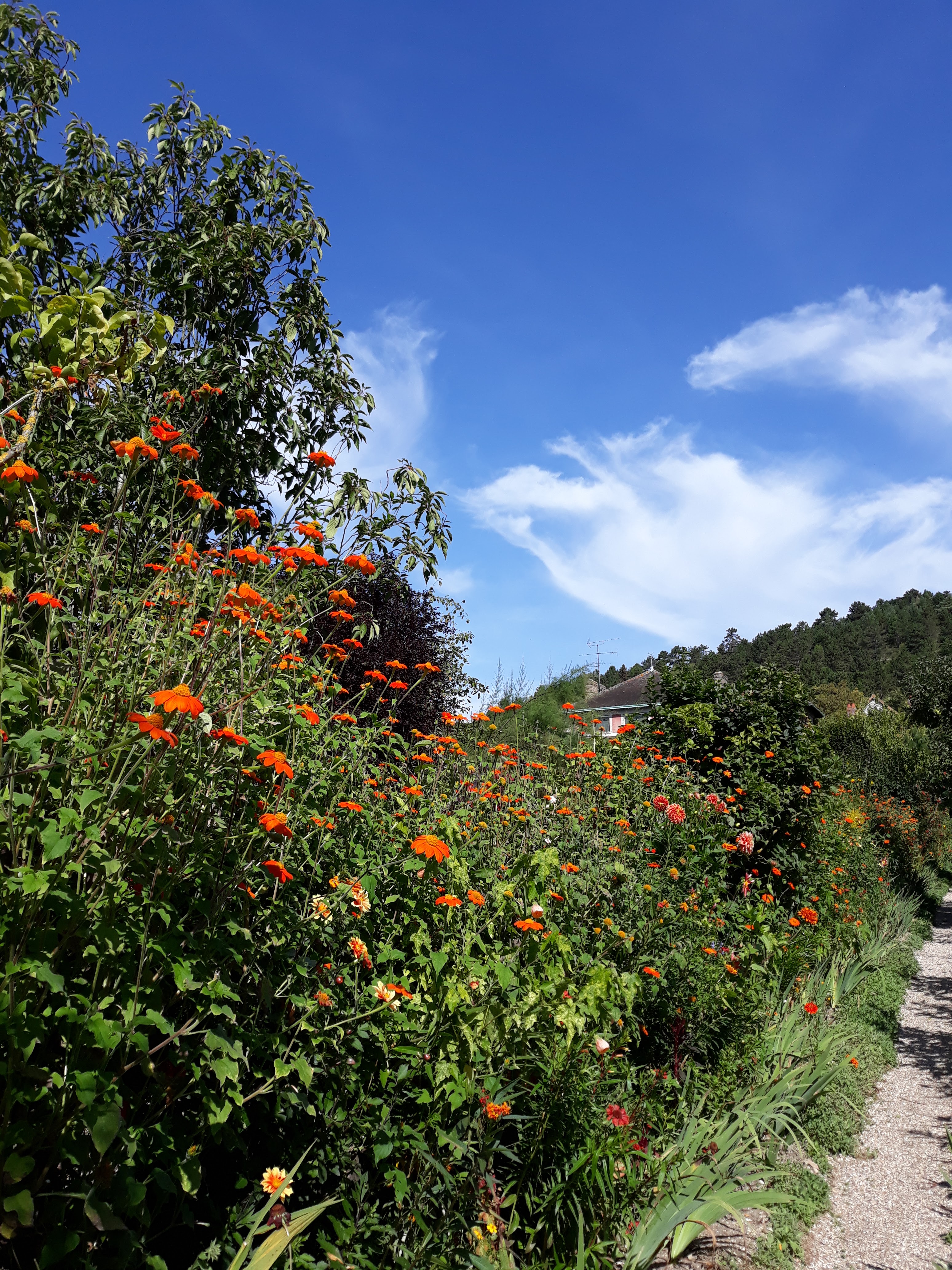 Photo n° 19 de l'avis de Zaj.h fait le 17/09/2018 à 16:50