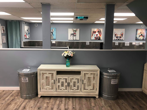 Dog Breeder «Playful Pets», reviews and photos, 115 Ridge Pike, Conshohocken, PA 19428, USA