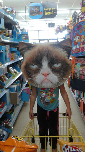 Discount Store «Dollar General», reviews and photos, 9522 E M 21, Ovid, MI 48866, USA