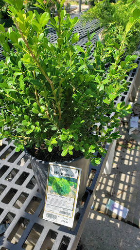 Hardware Store «Ace Hardware & Garden Center», reviews and photos, 1704 W 3rd St, Grand Island, NE 68803, USA