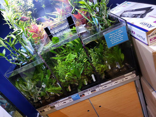 Pet Supply Store «Petco Animal Supplies», reviews and photos, 1100 Middle Country Rd, Selden, NY 11784, USA