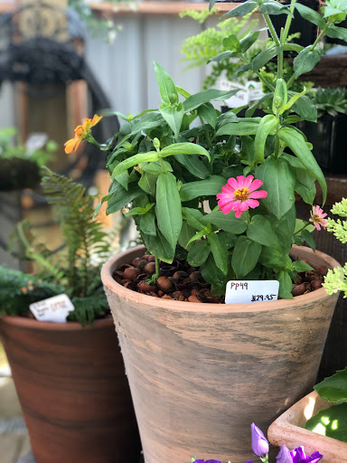 Hardware Store «Economy Supply of Lebanon», reviews and photos, 1055 Tangent St, Lebanon, OR 97355, USA