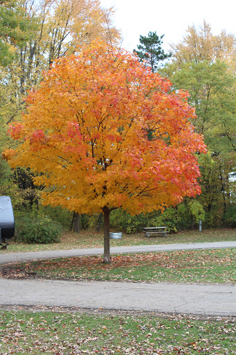 State Park «Lakeport State Park», reviews and photos, 7605 Lakeshore Rd, Lakeport, MI 48059, USA