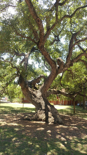 Tourist Attraction «Gruene Historic District», reviews and photos, 1601 Hunter Rd, New Braunfels, TX 78130, USA