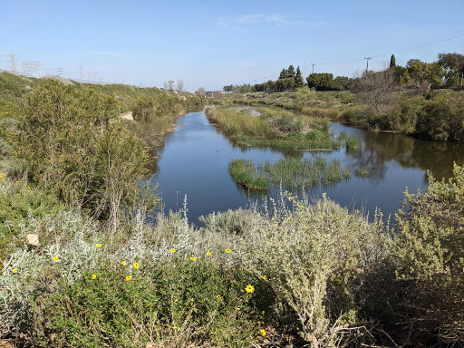 Dominguez Gap Wetlands