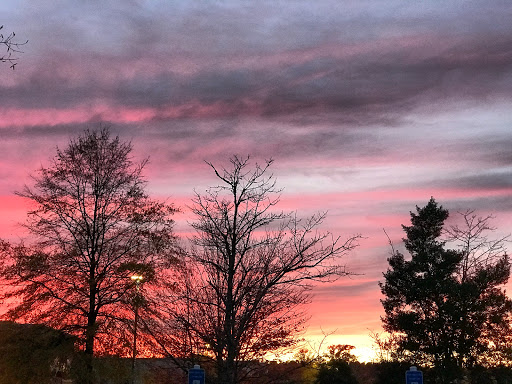 Movie Theater «CINEMARK TINSELTOWN 17 AND XD», reviews and photos, 134 Pavilion Pkwy, Fayetteville, GA 30214, USA