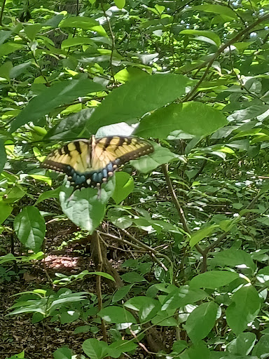 Park «Waterloo Park», reviews and photos, 6951 Old Waterloo Rd, Elkridge, MD 21075, USA