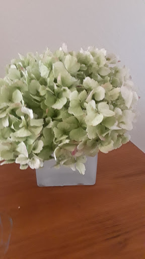 Florist «Bloomers», reviews and photos, 7520 Eads Ave, La Jolla, CA 92037, USA