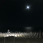 Photo n°6 de l'avis de Sarah.t fait le 29/08/2020 à 19:49 sur le  Hotel Scacciapensieri à Nettuno