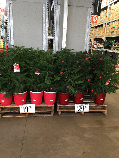 Home Improvement Store «The Home Depot», reviews and photos, 100 Abner Jackson Pkwy, Lake Jackson, TX 77566, USA