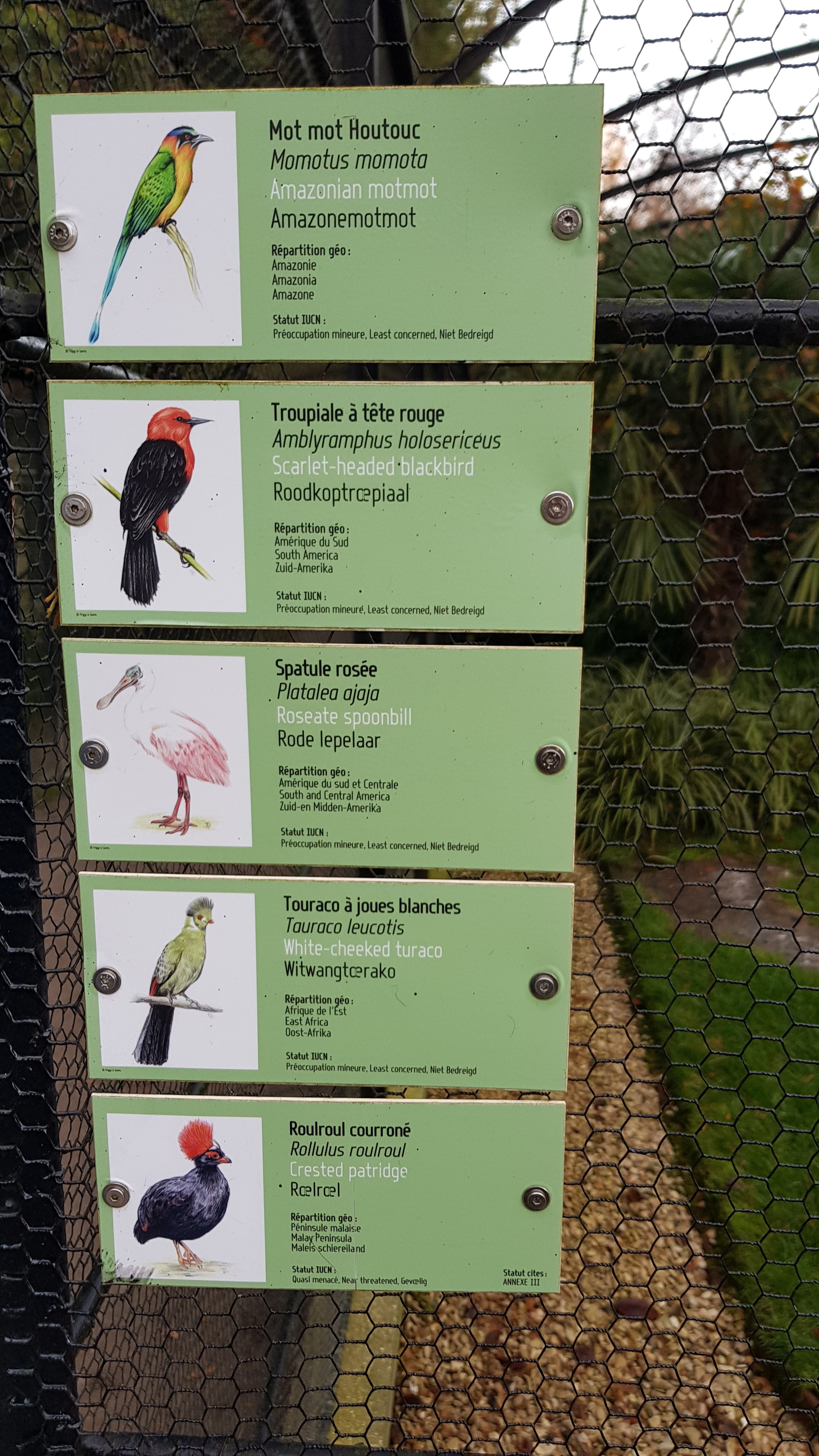 Photo n° 7 de l'avis de Morglaz.c fait le 10/11/2021 à 10:42