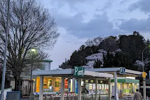 Tsuga-Nishikata PA (up) image