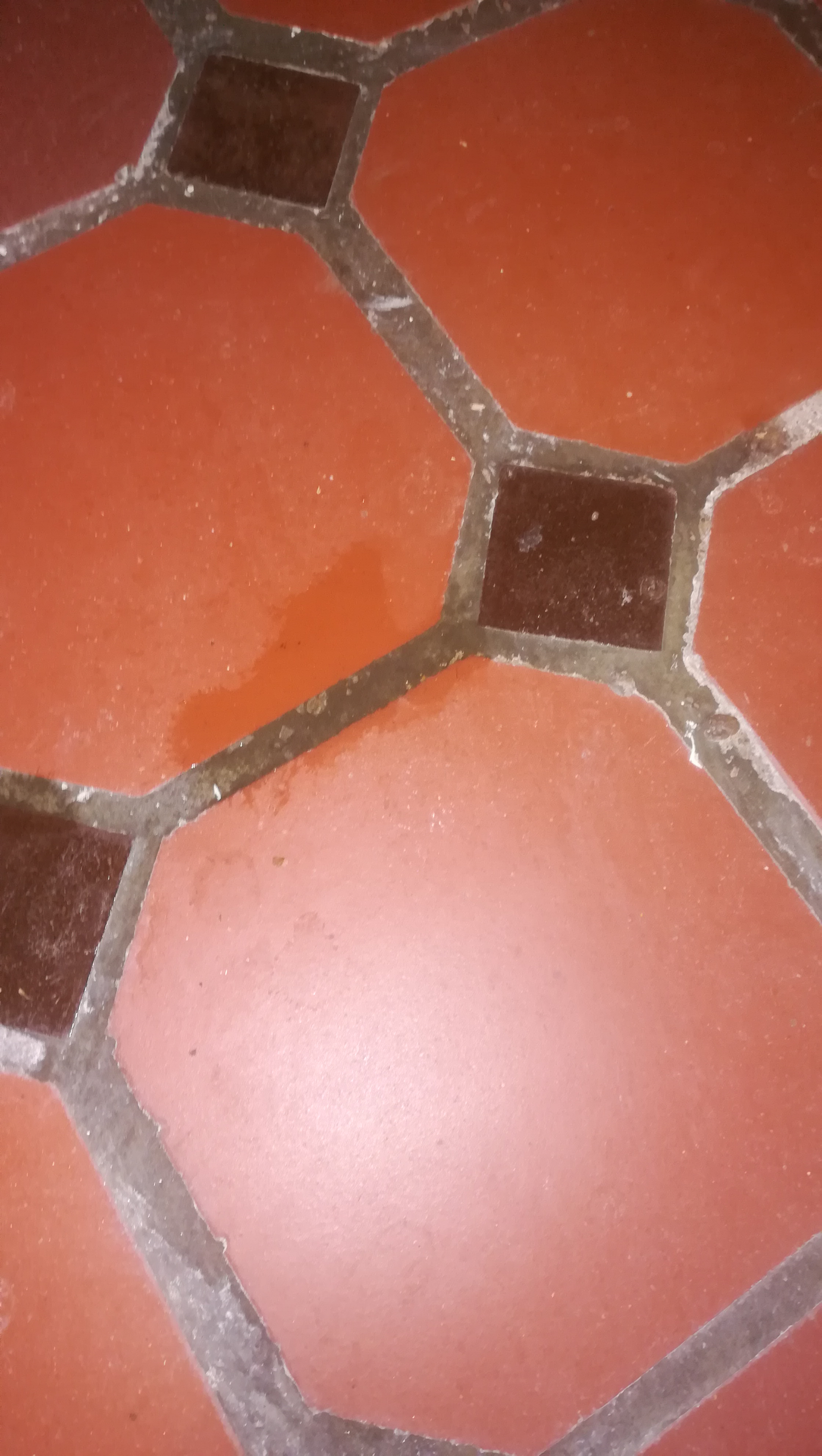 Photo n° 2 de l'avis de Yann.e fait le 17/11/2021 à 11:45