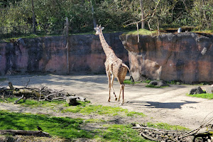 Oregon Zoo