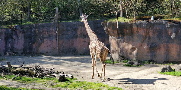 Oregon Zoo