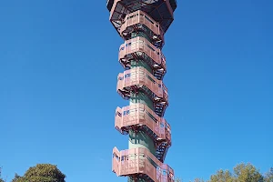 Falcon Hill Lookout Tower image