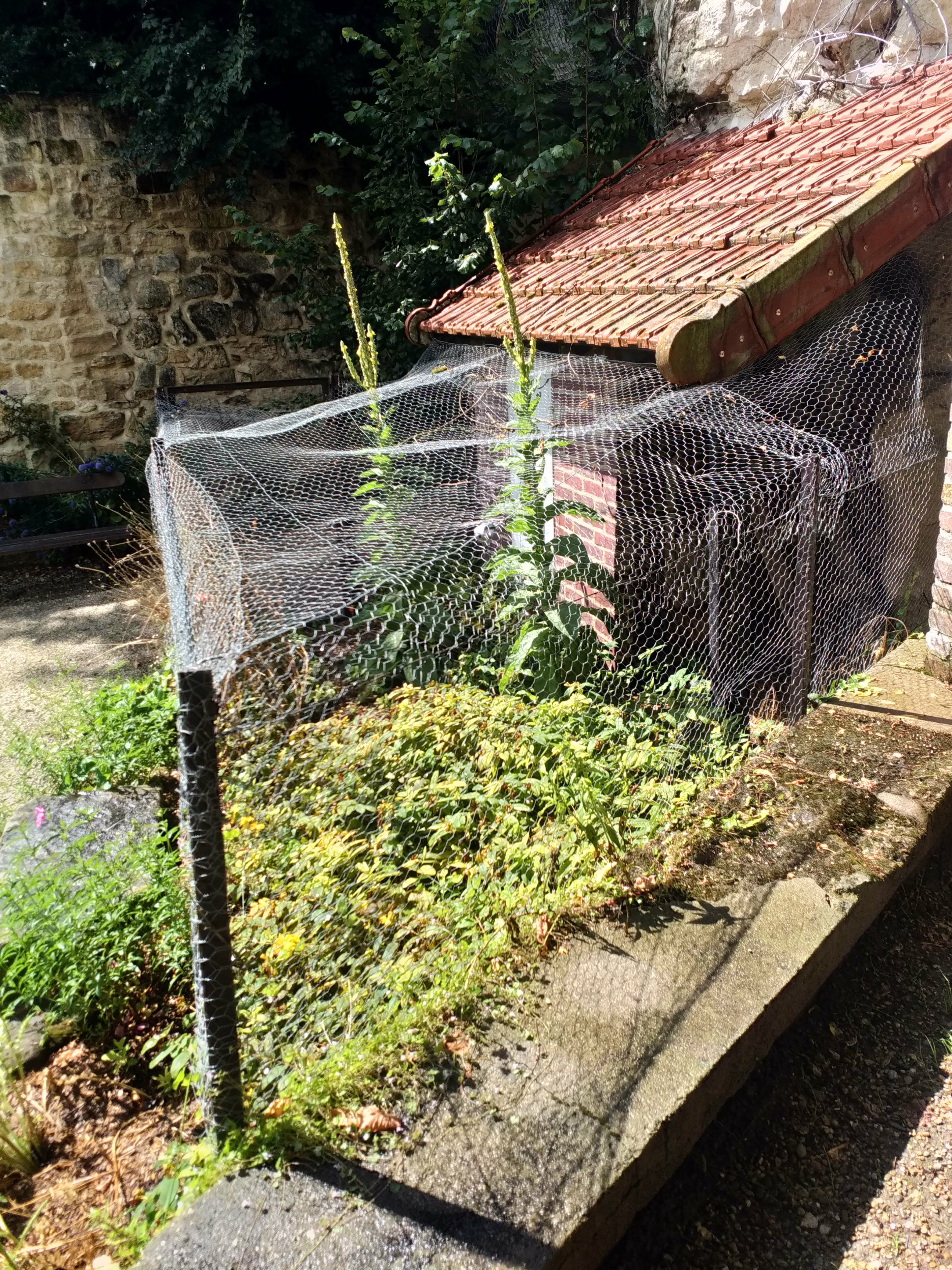 Photo n° 8 de l'avis de Françoise.E fait le 30/07/2021 à 07:18